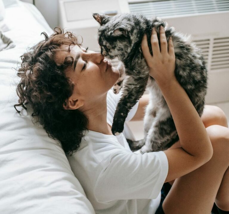 Atlanta Animal Rescue Friends (AARF) – Non Profit in Atlanta ...