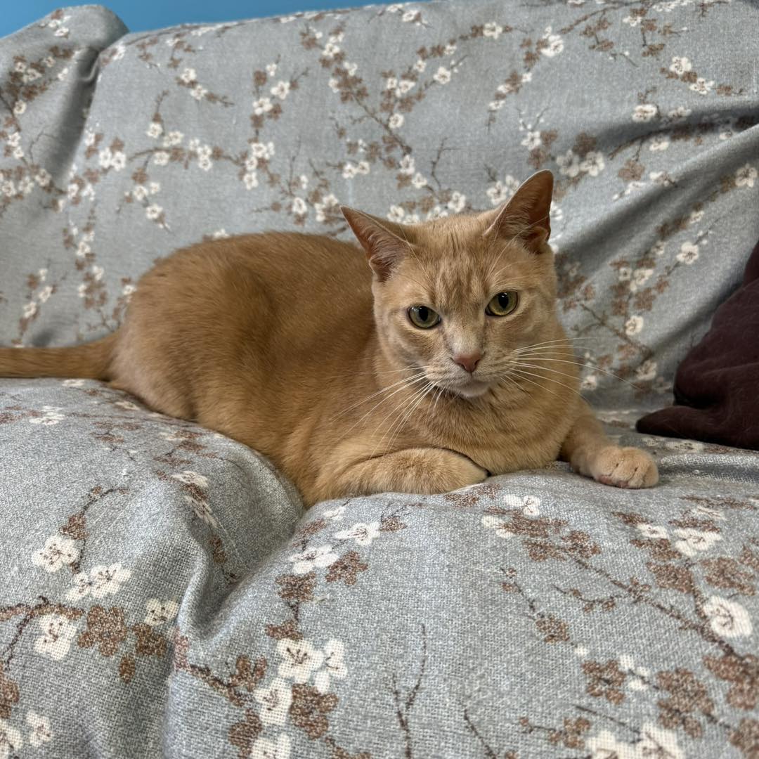 GUS 0424 2