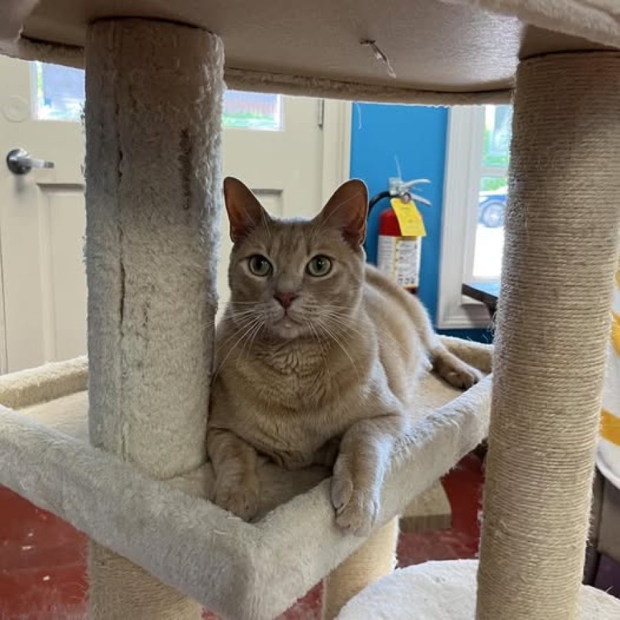 GUS 0424 1